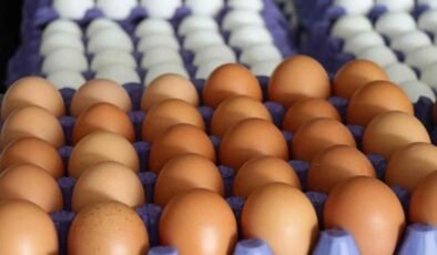 Amerika etkisi zincir marketlerde yumurta fiyatlarına yansıdı