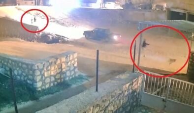 Aracına havlayan köpeğe kurşun yağdırdı! Hem de çocukların gözü önünde